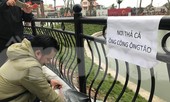 Dân chung cư Hà Nội cho cá chép 'đi cầu trượt' tiễn ông Táo
