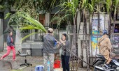 30 Tết, mía lộc xuống phố Hà Nội chờ đón giao thừa