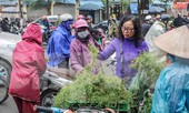 Người dân Thủ đô 'săn' mùi già để tắm Tất niên