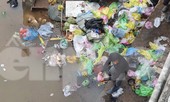 Sông ở Hải Phòng 'bội thực' rác sau khi đưa ông Táo về trời