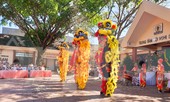 Đắk Lắk: Lãnh đạo tỉnh chào mừng du khách, chúc tết ngày đầu năm mới