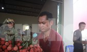 Đời phu vải
