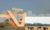 Cận cảnh khu công nghiệp ‘đắp chiếu’ 16 năm ở Bình Dương