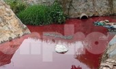 Con suối xuất hiện màu đỏ như máu ở Bình Dương