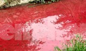 Cơ quan chức năng nói gì vụ suối nước màu đỏ kỳ lạ ở Bình Dương?
