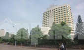 Bắc Giang lên phương án cách ly thương nhân nước ngoài đến mua vải