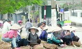 Toàn cầu bị COVID - 19 tàn phá, mất 195 triệu việc làm