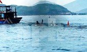 Hai người chết và mất tích sau cú va chạm tàu cá trên biển