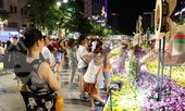 Người Sài Gòn chen chân thưởng ngoạn đường hoa Nguyễn Huệ ngày đầu khai trương