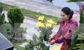 Người dân Thủ đô đưa con cháu lên Hòa Bình tảo mộ trước Tết