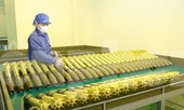 Ngành Công nghiệp Quốc phòng VN đề xuất phát triển tên lửa chống tăng thế hệ mới