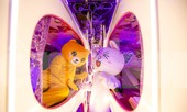 Kỳ lạ quái thú ‘Pokémon’ xuất hiện trên xe khách tình nhân đi SaPa
