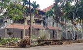 Biệt thự đô thị kiểu mẫu Hà Nội tự chặt cây, lát vỉa hè sai quy hoạch
