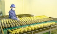 Ngành Công nghiệp Quốc phòng VN đề xuất phát triển tên lửa chống tăng thế hệ mới