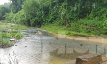 Vạn dân Hà Nội khốn khổ vì nước có mùi lạ: Chất bẩn từ đầu nguồn nước sông Đà?