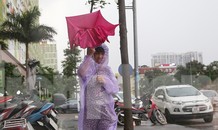 Hà Nội nổi mưa dông sau ngày đầu tuần nắng như đổ lửa