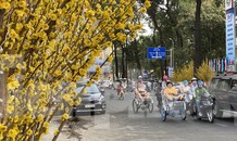 Có một ngày Tết thôn quê giữa lòng Sài Gòn
