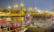 Chợ hoa 'trên bến dưới thuyền' nhộn nhịp về đêm