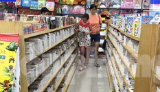 Bộ GD&ĐT thành lập 9 Hội đồng thẩm định SGK lớp 1