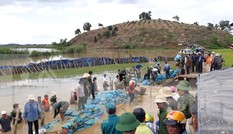 Dùng hàng ngàn bao tải đất, đá để 'vá' đê 300 tỷ đồng ở Đắk Lắk