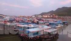 Hàng trăm tàu cá Khánh Hoà vào bờ neo đậu tránh bão số 5