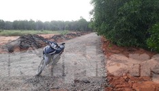 Dân tự ý làm đường nhựa trên đất nông nghiệp để phân lô bán nền ở Phan Thiết
