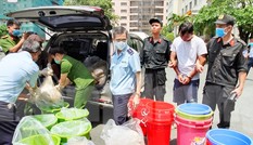 Giải mã quái chiêu những đường dây ma túy “khủng”