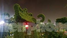 Mãn nhãn với cổng bằng cây đồ sộ 30 năm tuổi tại hội chợ sinh vật cảnh