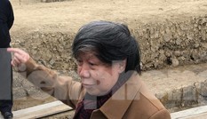 Giáo sư sử học Lê Văn Lan nói gì về bãi cọc nghìn năm tuổi ở Hải Phòng?