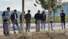 Đổ xô đi xem bãi cọc nghìn năm tuổi liên quan trận Bạch Đằng ở Hải Phòng