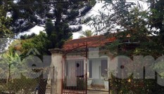 Can ngăn đánh nhau, cô bị cháu ruột đâm trúng tim
