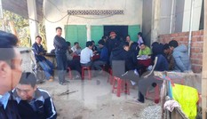 Đi dắt bò thuê trên biên giới, bị bò kéo xuống vực tử vong