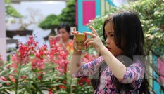 Dân Sài Gòn kéo nhau vào hội hoa xuân chụp hình 'tự sướng' ngày cận tết