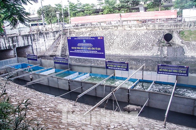 Làm sạch sông Tô Lịch: Chưa rõ kết quả, giá tiền công nghệ Nhật Bản Hà Nội cho biết, chưa rõ kết quả và giá thành xử lý sông Tô Lịch của phía Cty JVE. Ảnh: Duy Phạm