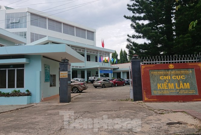 Nhận gỗ lậu, lãnh đạo kiểm lâm vẫn liên tục đạt danh hiệu 'chiến sĩ thi đua' Chi cục Kiểm lâm tỉnh Đắk Lắk
