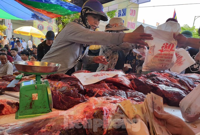 Ngất ngưởng giá thịt trâu chọi Đồ Sơn Ngất ngưởng giá thịt trâu chọi Đồ Sơn