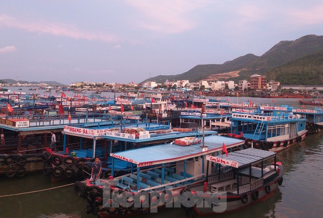 Hàng trăm tàu cá Khánh Hoà vào bờ neo đậu tránh bão số 5 Hàng trăm tàu cá Khánh Hoà vào bờ neo đậu tránh bão số 5
