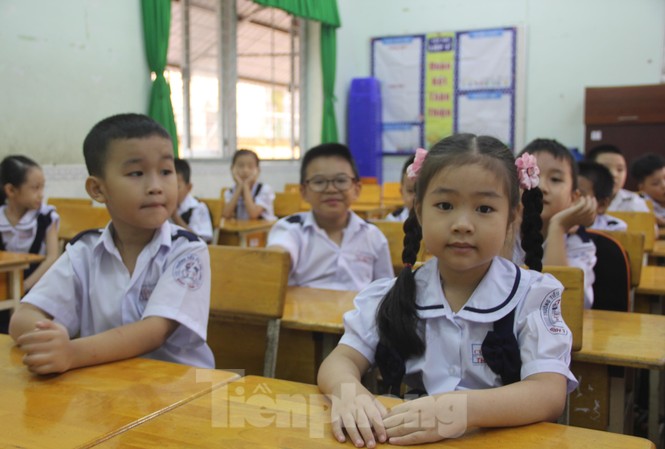 TPHCM: Thành lập trường tiểu học trực thuộc trường đại học Học sinh tiểu học (ảnh mình họa)