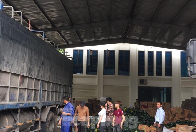 Khôi phục mua bán hàng hóa cư dân biên giới Tân Thanh - Pò Chài Cho dù hôm nay (27/2), phía Trung Quốc đồng ý trao đổi, mua bán hàng nông sản như xưa, tuy nhiên do không có nhân công ở bên bãi sang ải của bạn nên nhiều doanh nghiệp đã tổ chức phân loại, đóng gói ngay tại cửa khẩu Tân Thanh .Ảnh: Duy Chiến