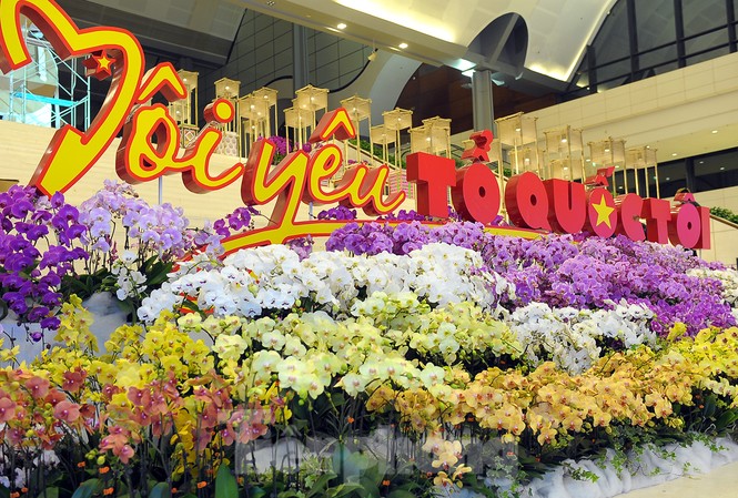 1.200 cành lan khoe sắc không gian Đại hội Hội LHTN Việt Nam lần thứ VIII 1.200 cành lan khoe sắc không gian Đại hội Hội LHTN Việt Nam lần thứ VIII