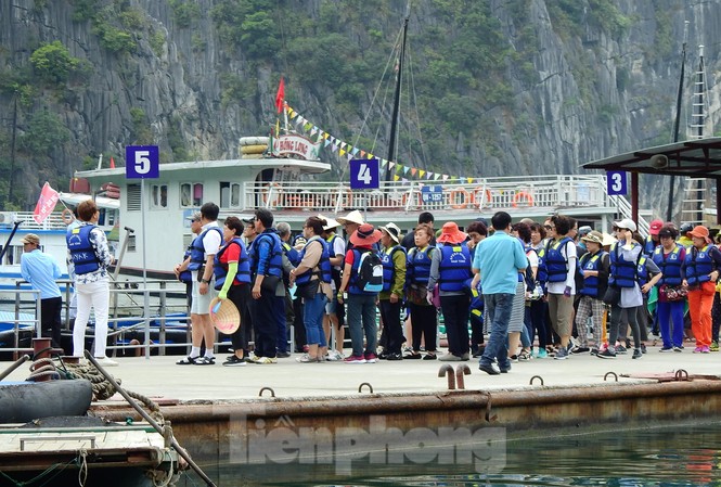 Chèo đò thu tiền tỷ trên vịnh Hạ Long: Doanh nghiệp trục lợi tiền thuế? Chèo đò thu tiền tỷ trên vịnh Hạ Long: Doanh nghiệp trục lợi tiền thuế?