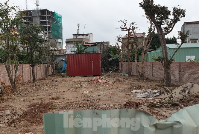 Hải Phòng tái diễn tình trạng giang hồ chiếm đất Hải Phòng tái diễn tình trạng giang hồ chiếm đất