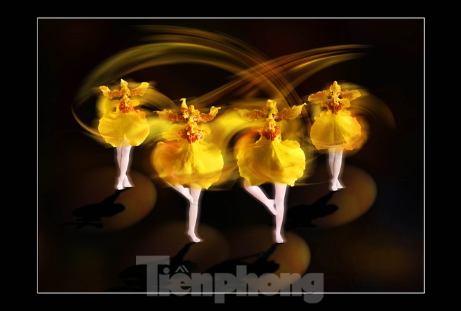 Mua ảnh nghệ thuật, vừa chơi xuân vừa xây thư viện "Vũ Ba lê", ý tưởng từ những cánh lan Vũ Nữ- NSNA Nguyễn Hương Vượng