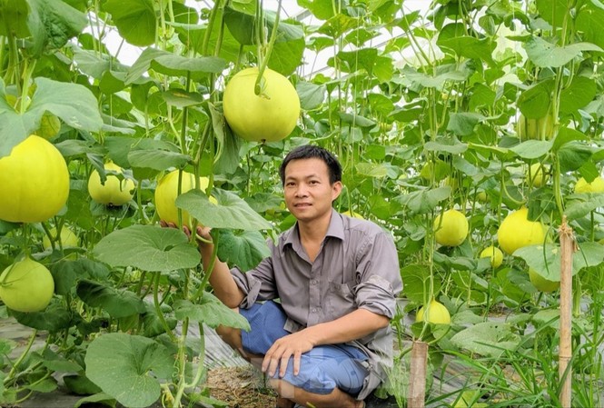 60 tỷ đồng hỗ trợ thanh niên khởi nghiệp Mô hình khởi nghiệp rau sạch của anh Nguyễn Thanh Liêm (ở xã Việt Ðoàn, huyện Tiên Du) được vay vốn từ Tỉnh Ðoàn Bắc Ninh