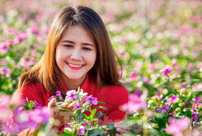 Mãn nhãn sắc Xuân trên đất Thủ ngày cận Tết Mãn nhãn sắc Xuân trên đất Thủ ngày cận Tết