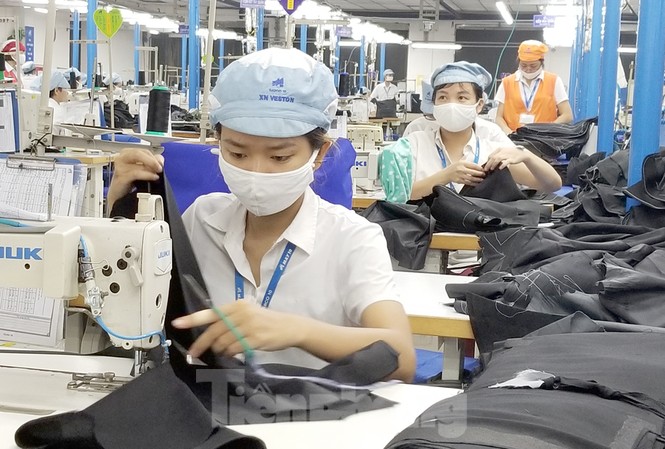 Khoảng 9.000 người lao động mất việc làm do Covid-19 Đã có khoảng 9.000 người lao động mất việc làm vì dịch Covid-19. Ảnh minh họa.