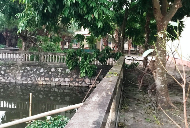 Nguyên Phó Giám đốc bệnh viện huyện Kim Sơn tử vong dưới ao Khu vực ao nước, nơi phát hiện thi thể ông Trần Văn Phú - Ảnh: Hoàng Long