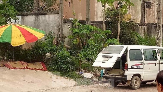 Bẫy chim bị điện giật, chết thảm - ảnh 1