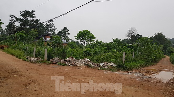 sóc sơn, hà nội, cưỡng chế, minh phú, thanh tra, kết luận, xẻ thịt, đất rừng, mỹ linh, phủ thành chương - ảnh 9