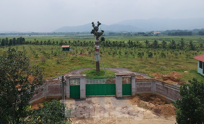 sở khdt, nguyễn mạnh quyền, hà nội, giải ngân, đầu tư công, chậm tiến độ, dự án cấp thành phố, hoài đức, cầu giấy, quốc oai, đỗ duy chiến, đất đai, người nhà, - ảnh 7